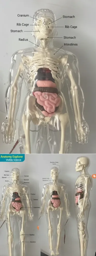 WhatsApp Image 2025-12-13 at 17.39.02.webp