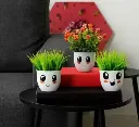 Combo of 3 Artificial Plants – Green Grass & Red Bonsai in Smiley Pots | Home Décor Items, Office Table Decoration, Cute Gift Item (14 cm Each)